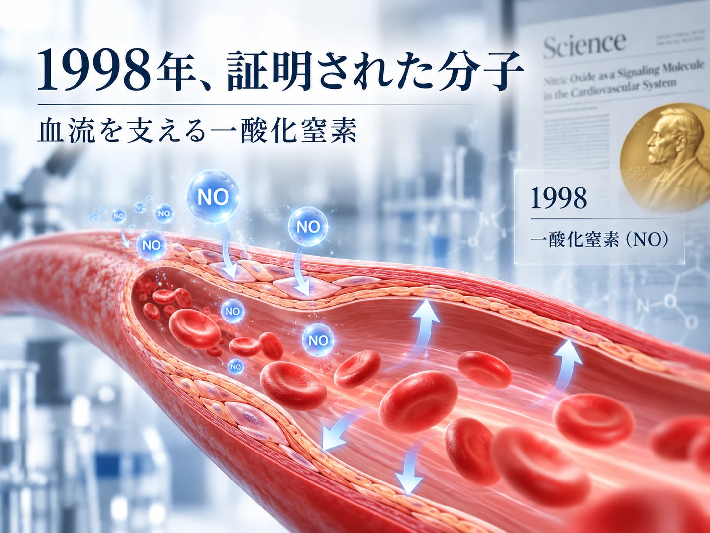 一酸化窒素と1998年の研究を示すイラスト
