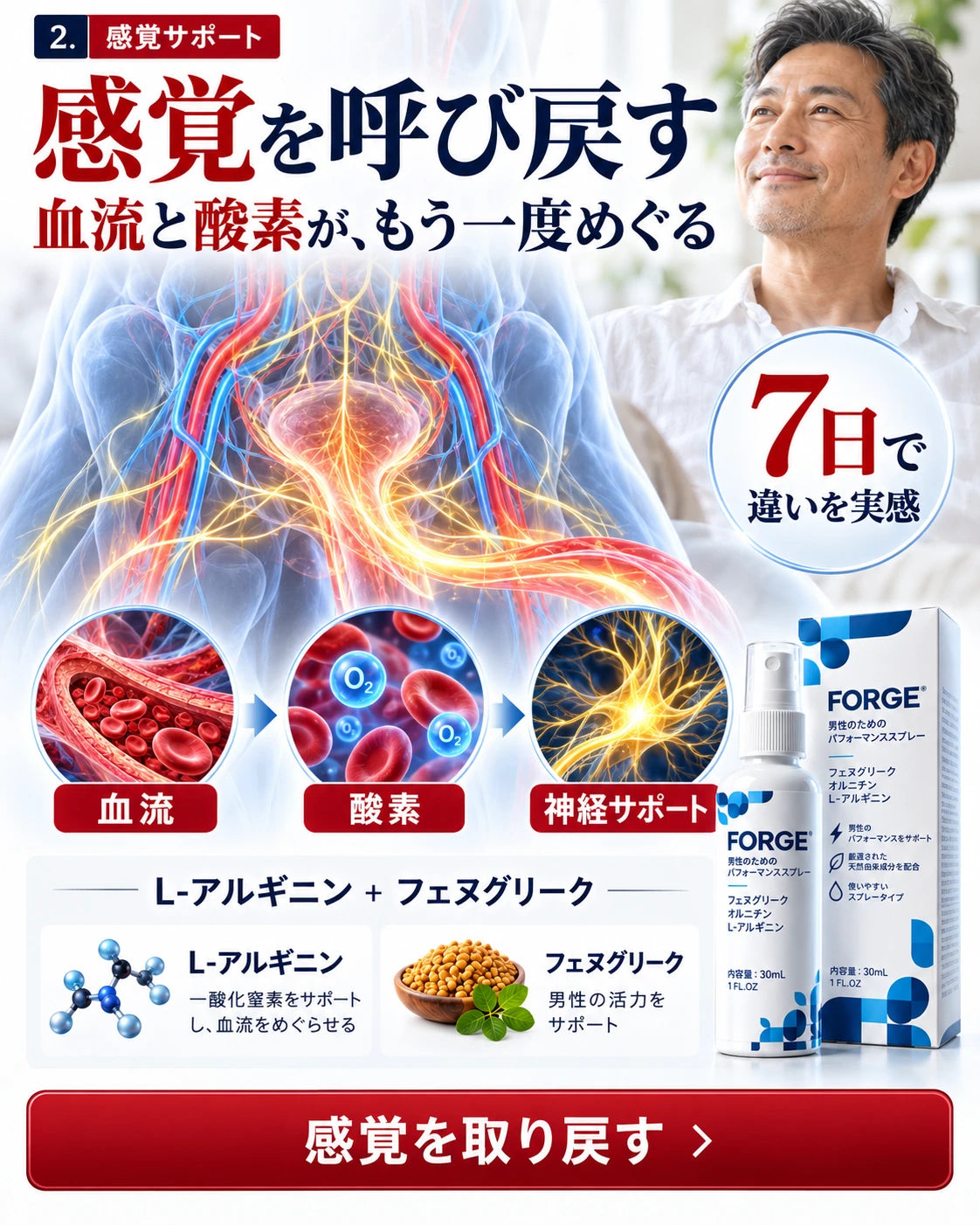 FORGEのイメージ画像