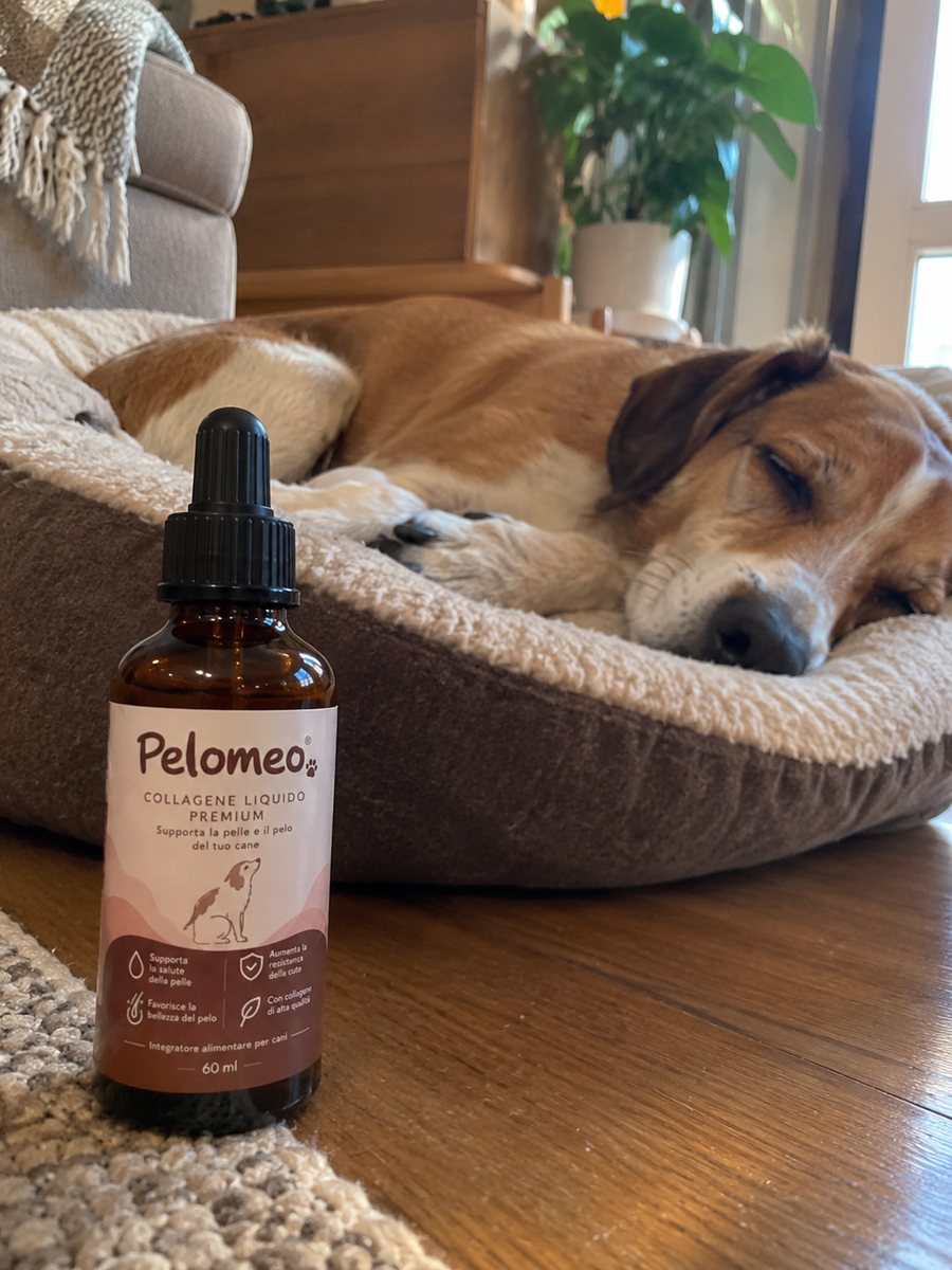 Cane che dorme tranquillo accanto al flacone di Pelomeo