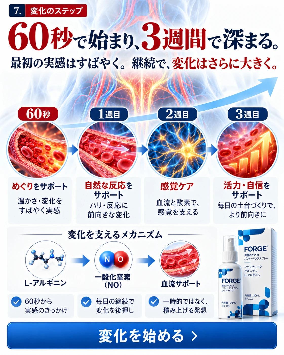 FORGEのイメージ画像